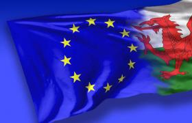 Welsh EU flag