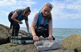 In the summer of 2019 concrete tiles were attached to man-made sea defences in Borth, Ceredigion as part of the eco-engineering project Ecostructure