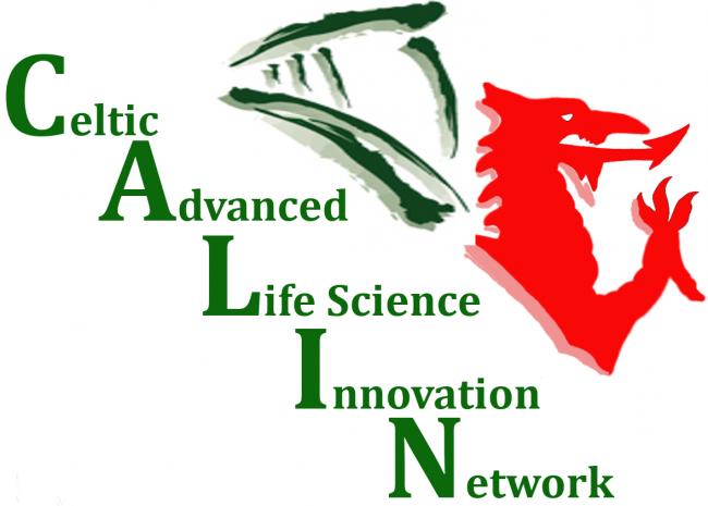 CALIN logo